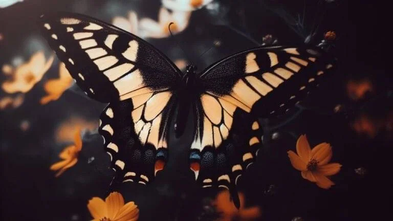 Unlocking the Secrets: 10 Black and Yellow Butterflies Meaning Revealed