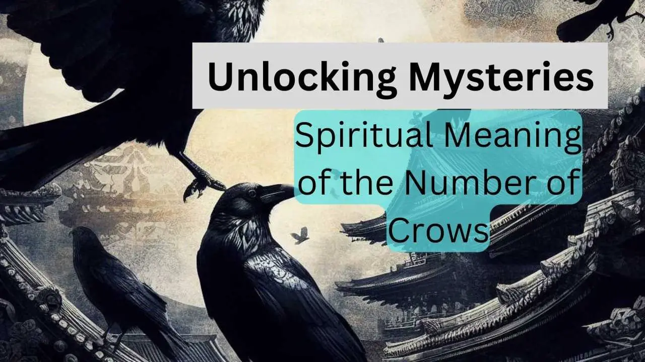 spiritual Meaning of the Number of Crows