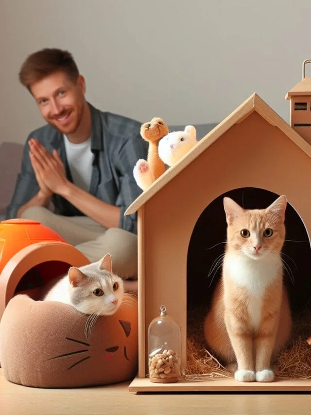 6 Benefits of Sharing Your Home with a Cat